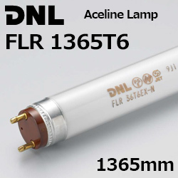 DNCeBO(DNL) FLR1365T6 G[XCv 1..