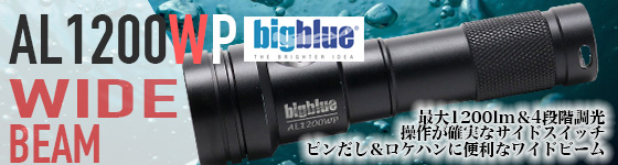 BIGBLUE(rbOu[) AL1200WṔA_CrOɎgpł100mh̃CgłB18650^`ECIdrgpő1200[iSiKj̃Chr[łB